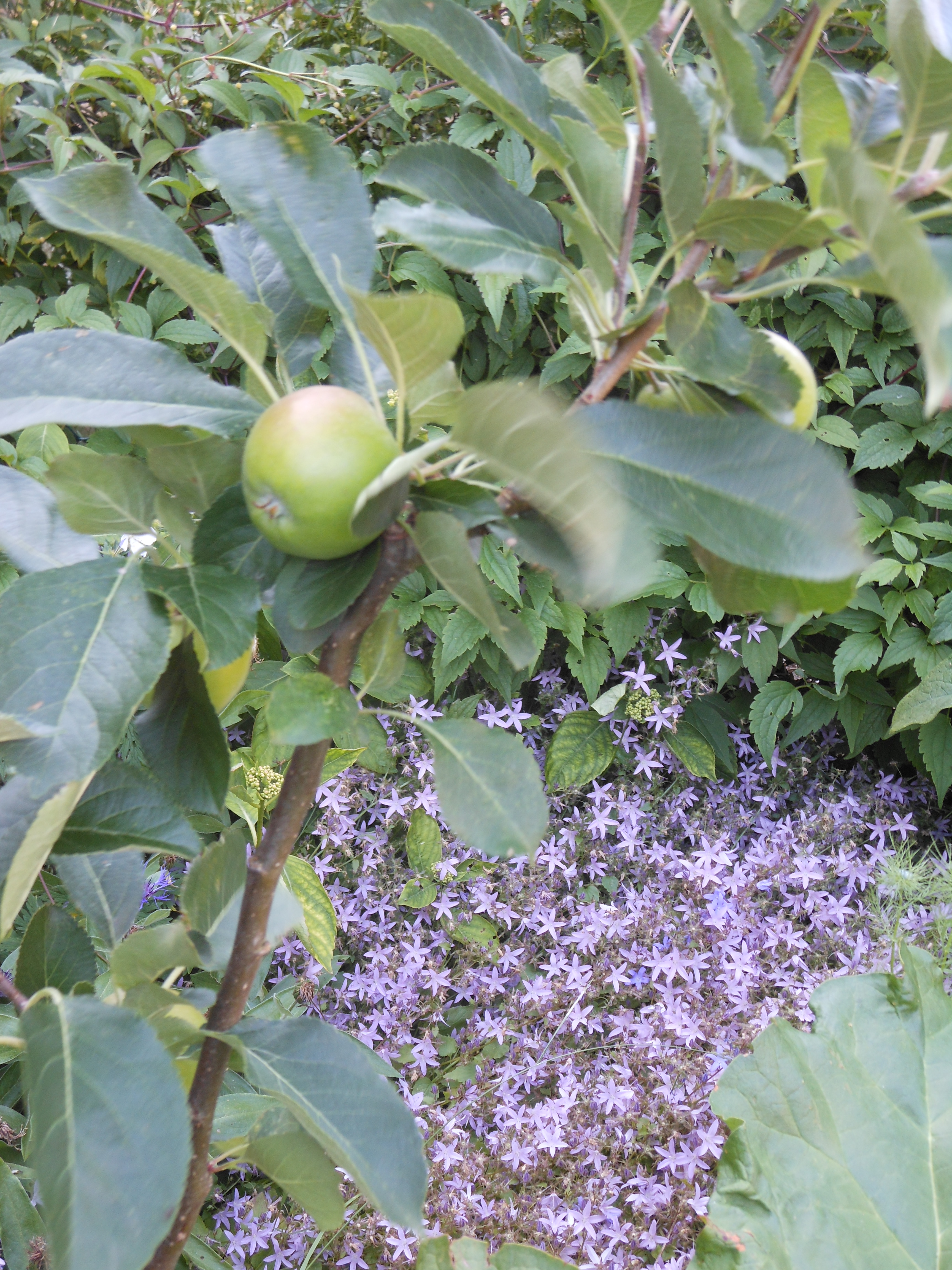Well Dressings Bakewell